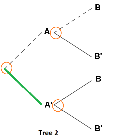 Diagram labeled “Tree 2” showing a probability tree similar to Tree 1. The first split leads to A and A′, each branching to B and B′. Orange circles highlight the branching points. The branch from the starting point to A is dashed, while the branch to A′ is shown with a thick green line, emphasizing that path.